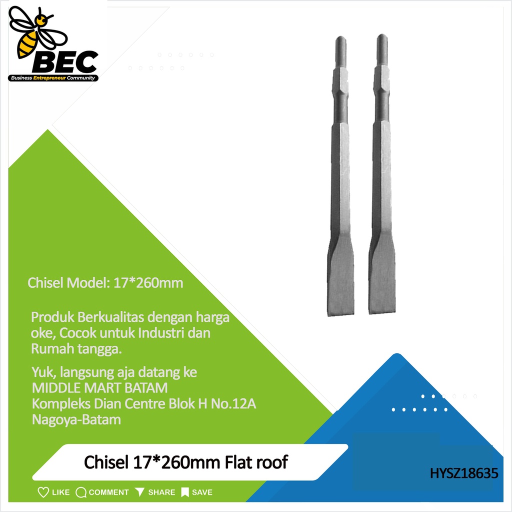 Chisel  Model 17*260 mm A flat roof