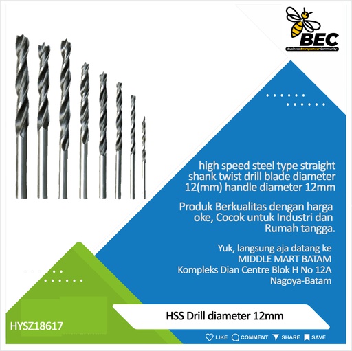 [HYSZ18617] HSS Drill Bit exture  High Speed Steel Type Straight Shank Twist Drill Blade Diameter 12 (mm) Handle diameter 12 (mm)