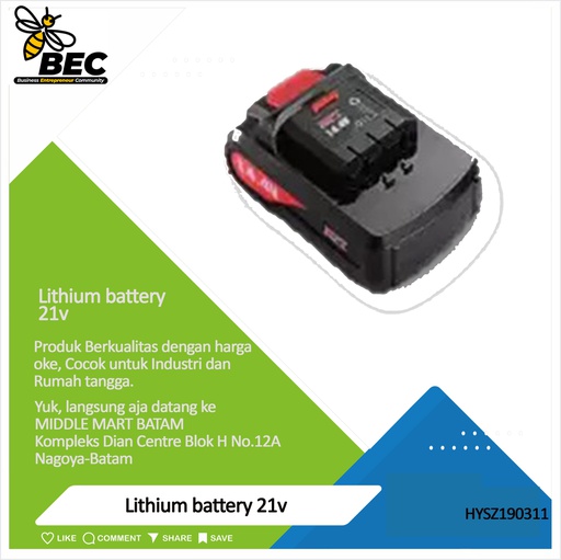 [HYSZ190311] Lithium battery 21v